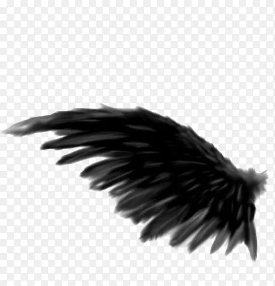 ��ɫ���-������