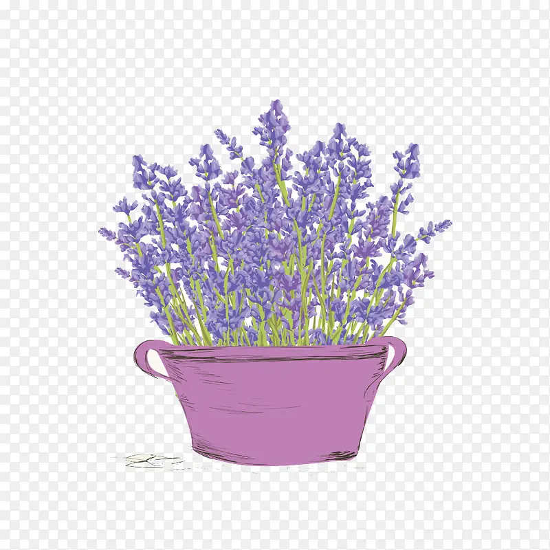 ��ɫ����޹�²��ز�-������