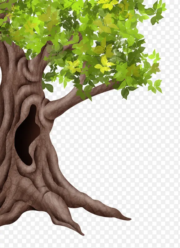 �ֻ���ϴ���-������