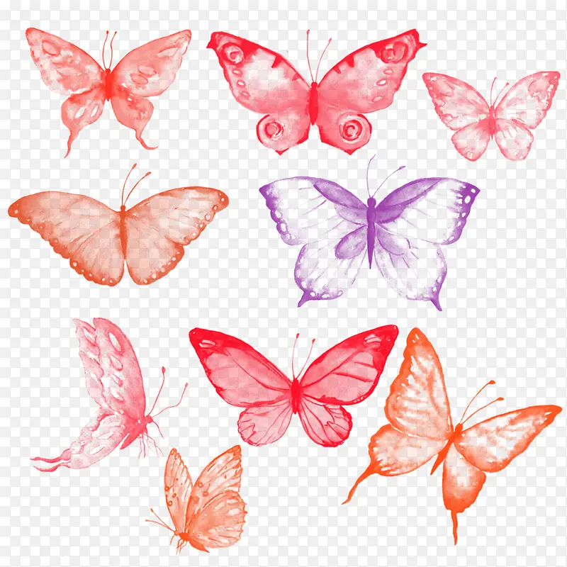 ����ĺ���-������