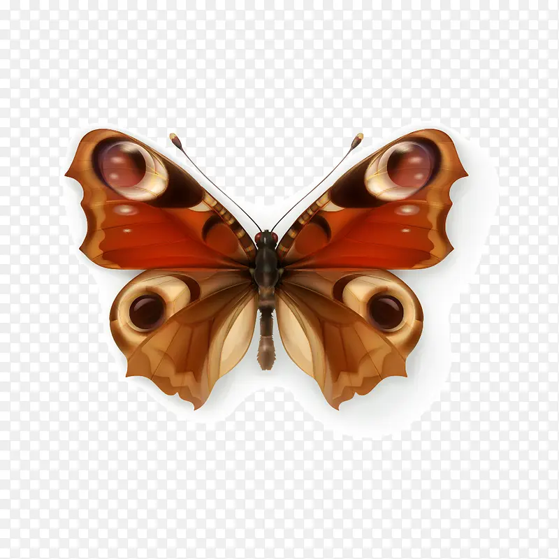 ����-������