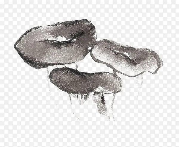 �ֻ�Ģ��-������