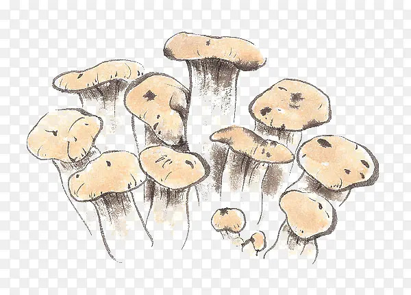 �ֻ�Ұ����-������