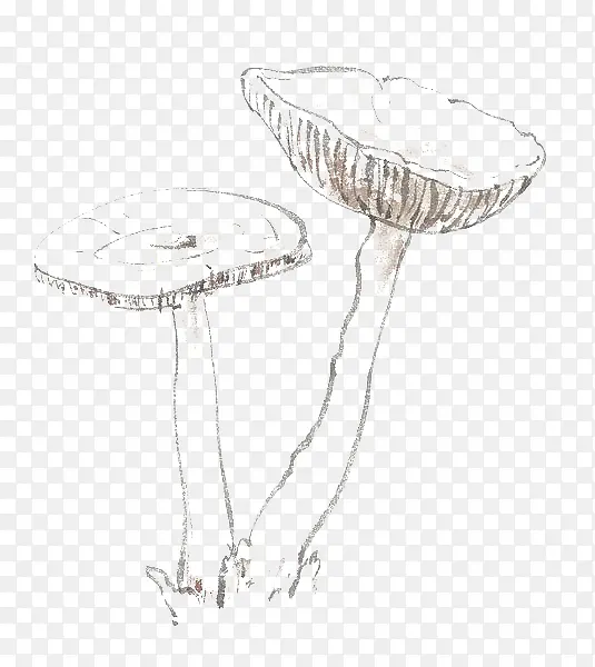 �ֻ��ɫĢ��-������