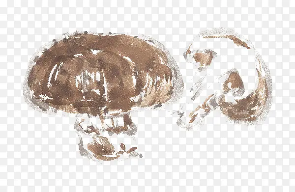 �ֻ��㹽-������