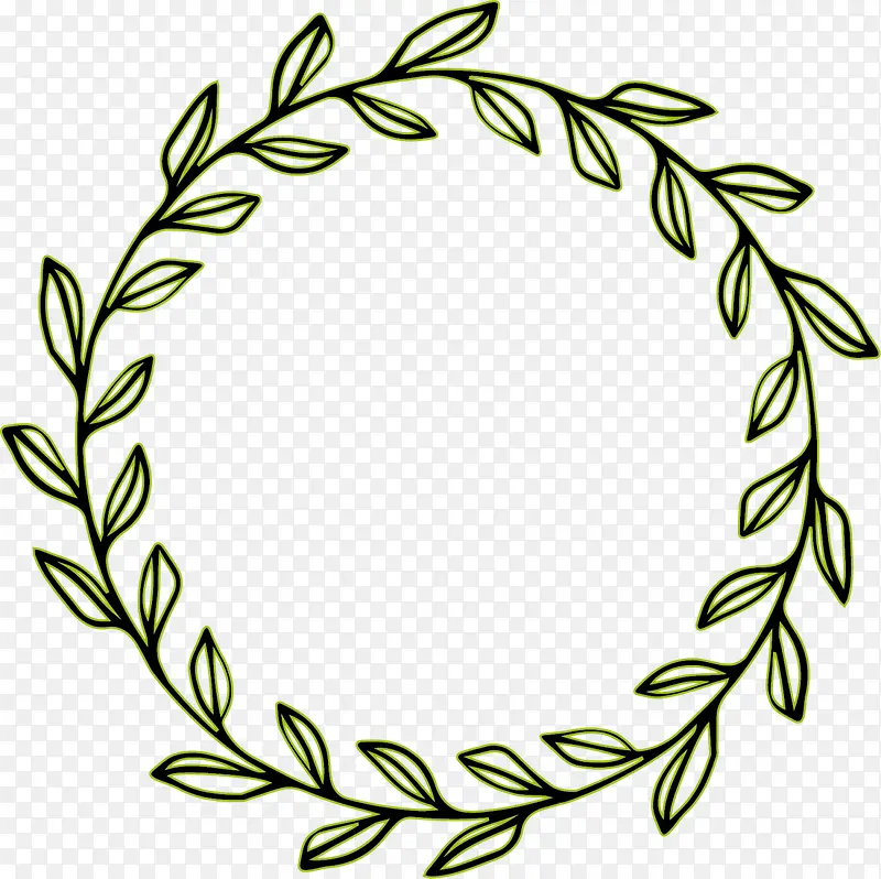 ��ɫ�����ݻ�ֲ��-������