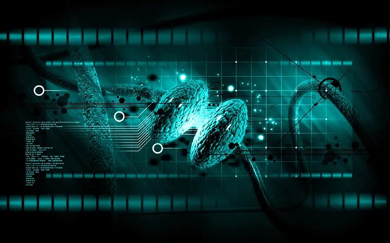 ҽѧ��������-������