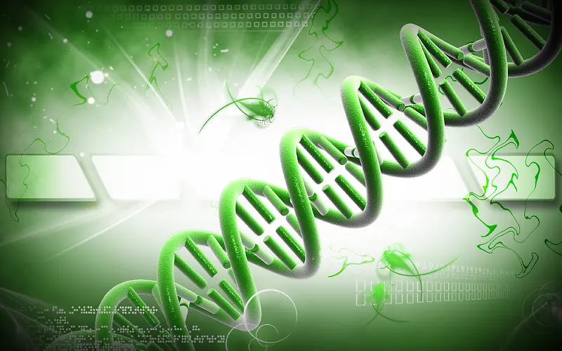 DNA�ṹ�Ƽ�����-������