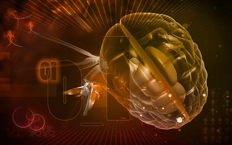 �������ٿƼ�����-������