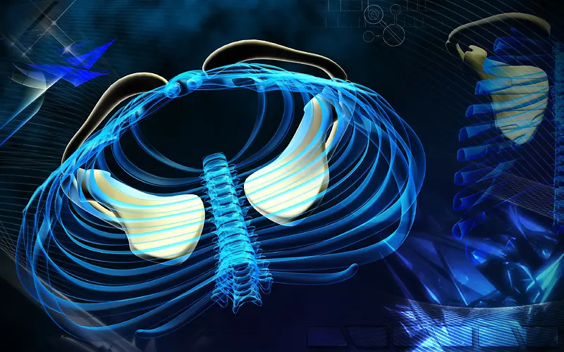 ��ǻ��Ƽ�����-������