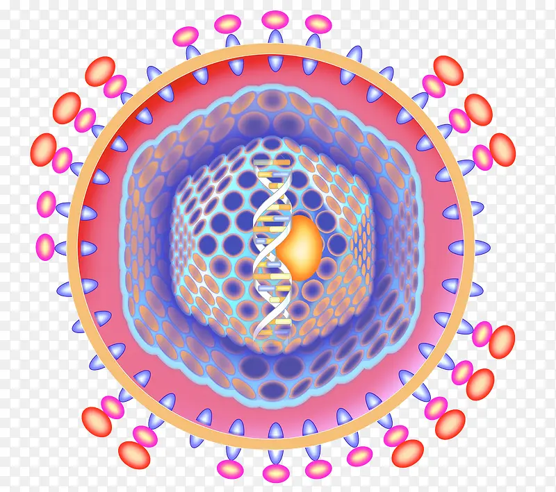 ҽѧϸ����ɫʾ��ͼ-������