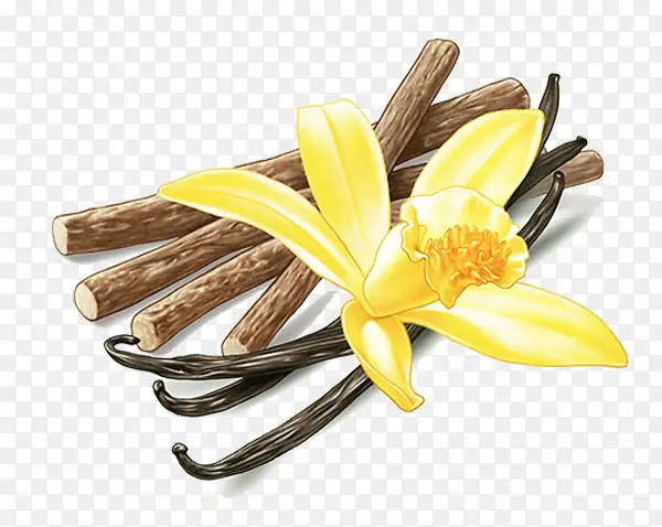 ��ͨ����֦-������