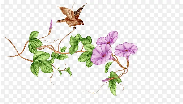 ���Ȼ��ز�-������