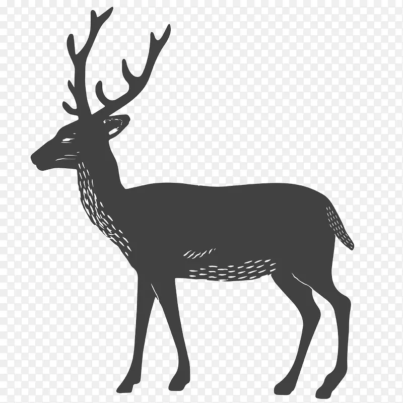 ÷��¹��Ӱ-������