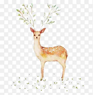 �ֻ�ŷ�ˮ��÷��¹-������