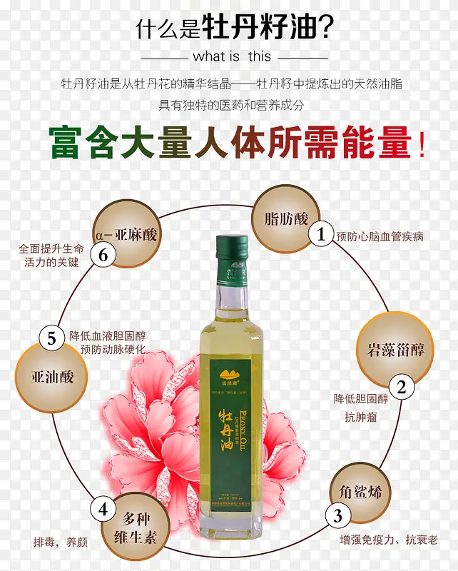 ĵ������-������