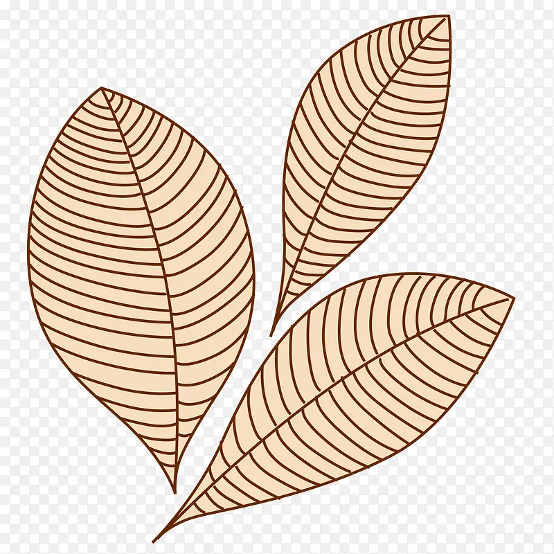 �廭Ҷ��-������