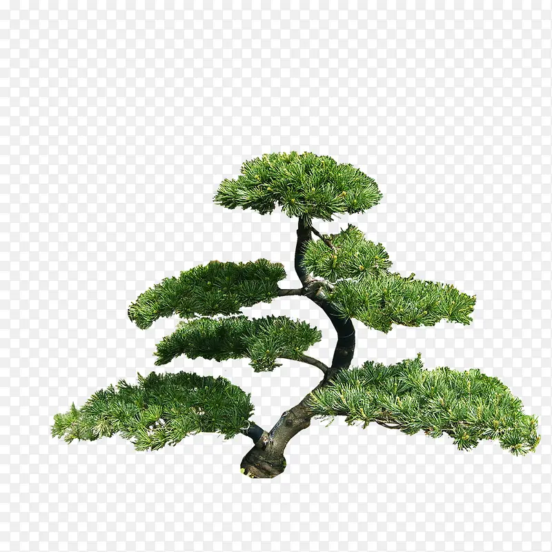 ����ǰ����-������