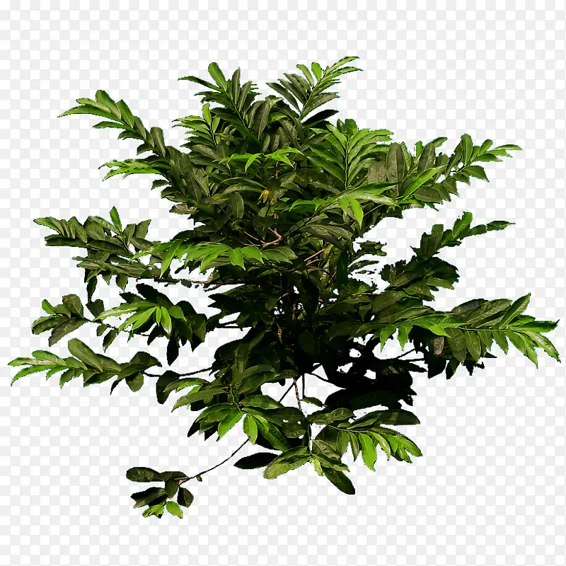 ����ǰ����-������