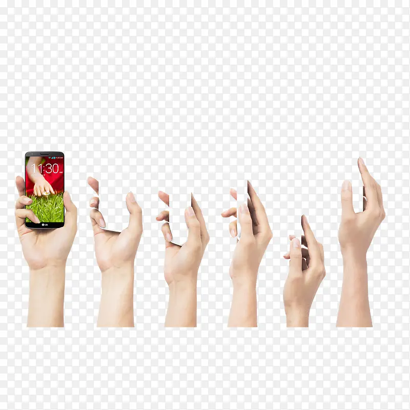 �ö�������-������