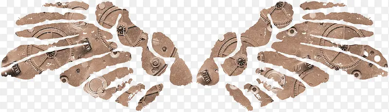 ��ë ���-������