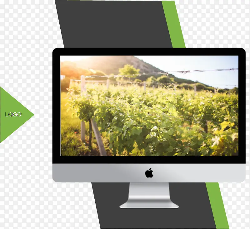 ����-������