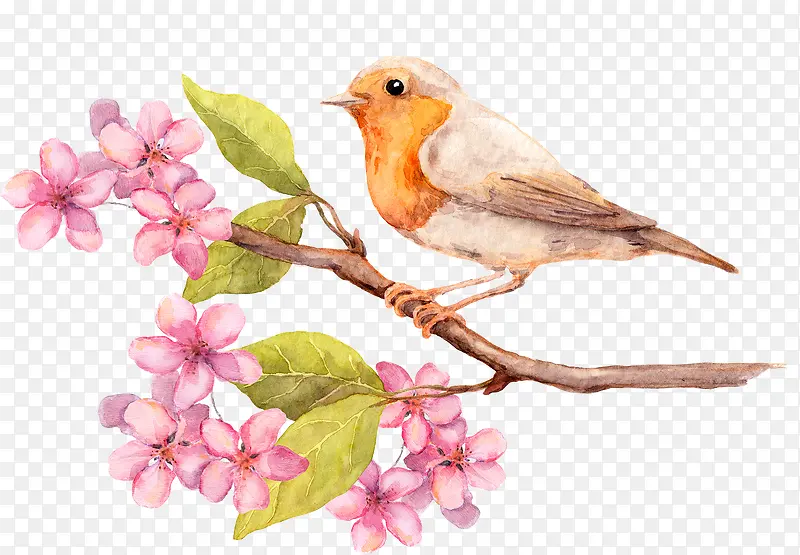 ��   ��֦  ��˿ȸ-������