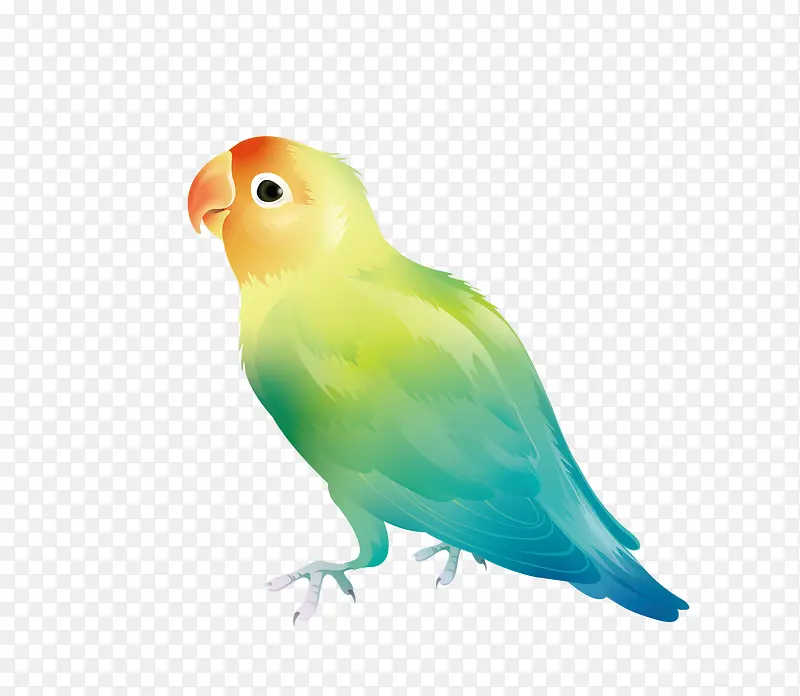 ��˿ȸ-������