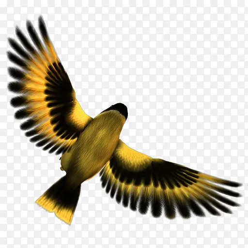 ��˿ȸ���趯��-������