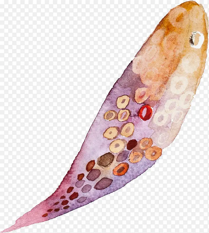 ��ͨ-������