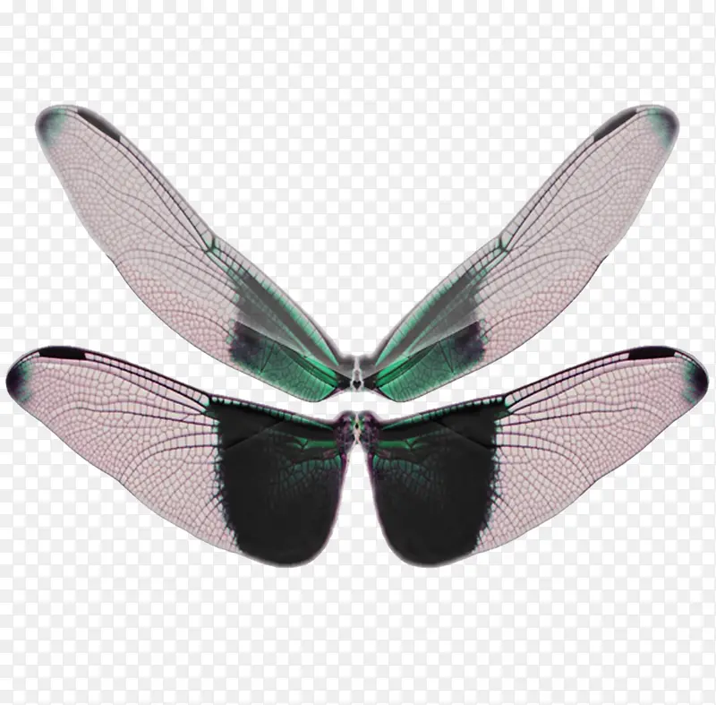 ��ëͼƬ��ɫ-������