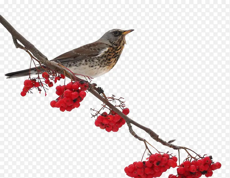 ��ȸվ��֦-������