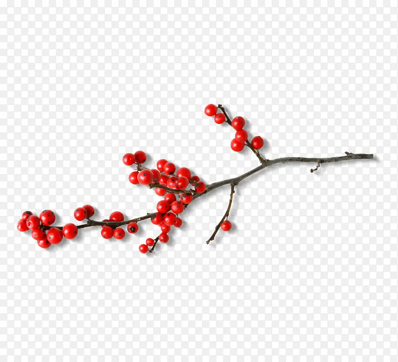 ��� ��֦-������