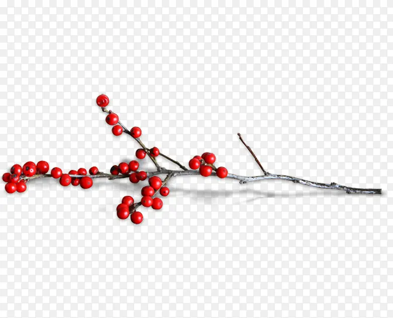 ��֦��ʵ-������