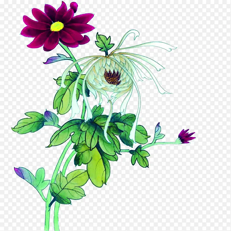 ˮ�ʻ�-������