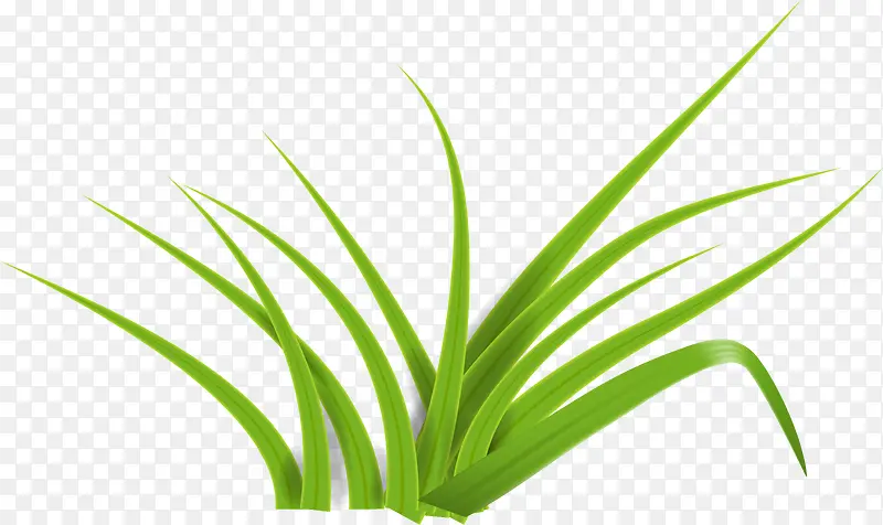 ��ɫС��װ��-������