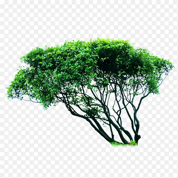 ��������-������