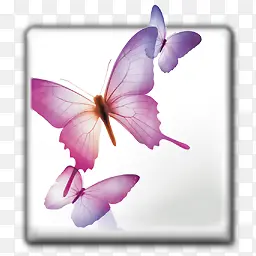 adobeid����CS .��-������