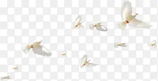 ��Ӱ���պ�����շ�����-������