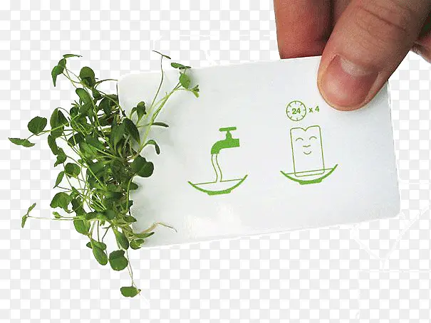 С����-������