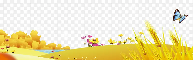 С���·��߿�-������