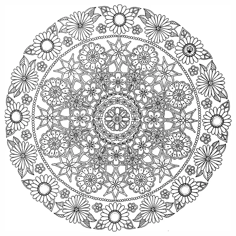 �ֻ渴�Ż���-������