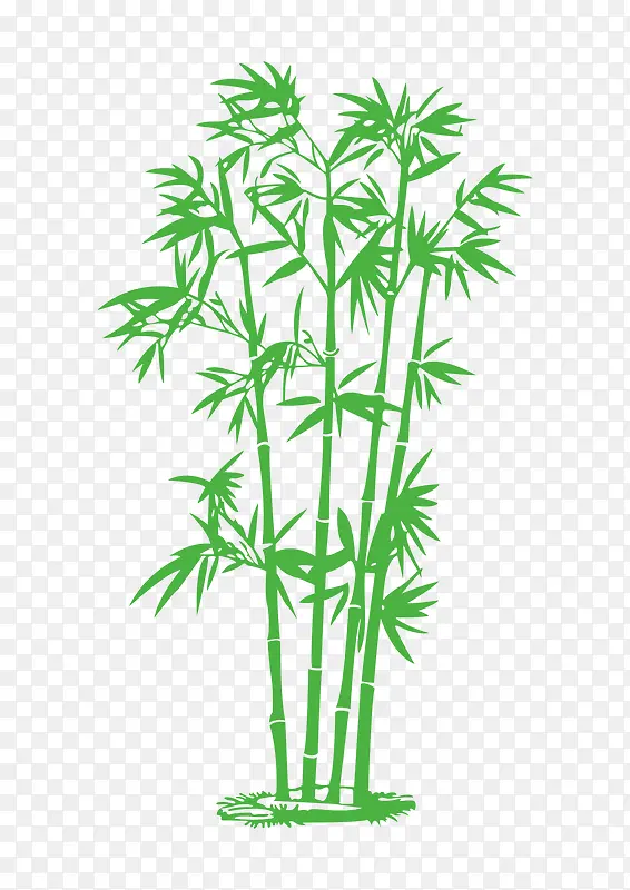 ʸ����ɫ��������-������