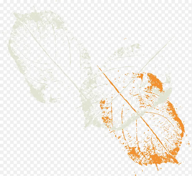 ī����Ҷ-������