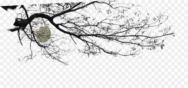 ˮī��֦-������