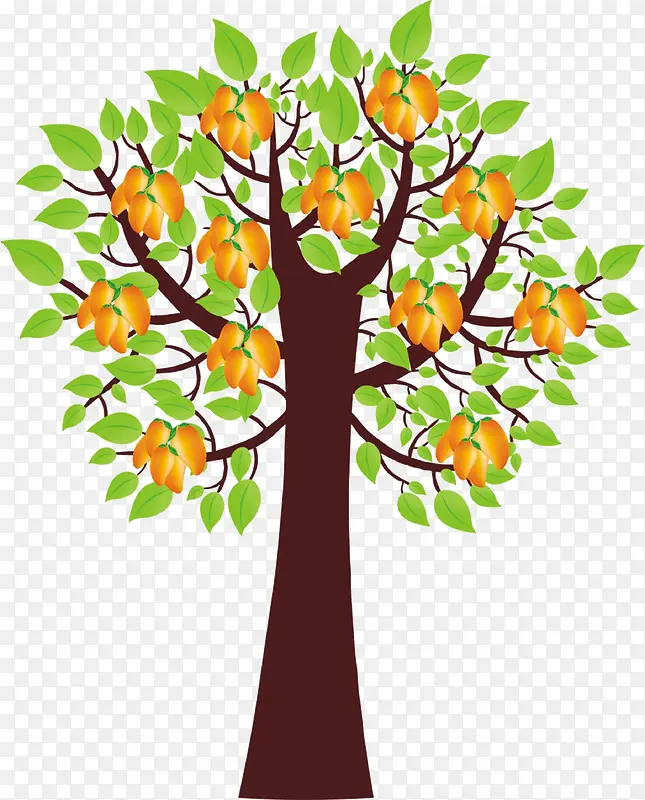 ��ͨ��-������