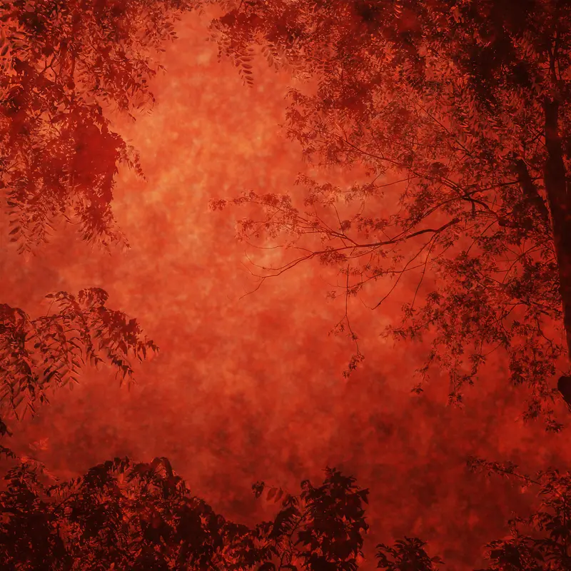 ��ľ���ű���-������