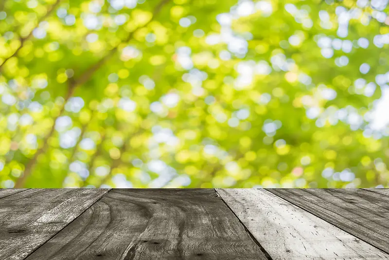 ���������黯����-������