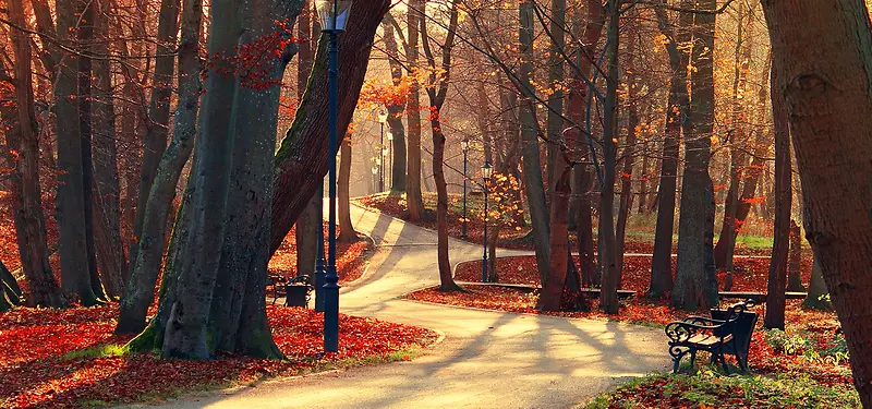 ������Ӱ����-������