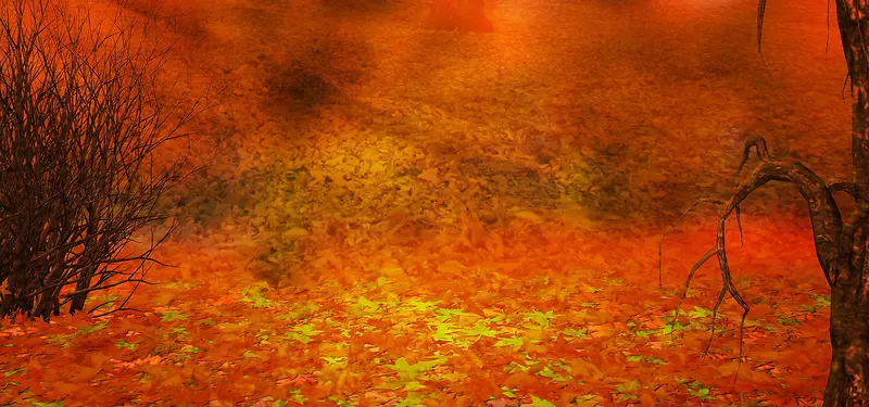 ������Ӱ����-������